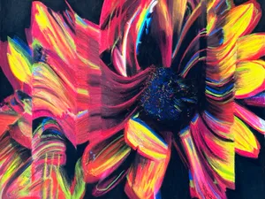 sunflower rendered with chromatic aberration and glitch-offset effect