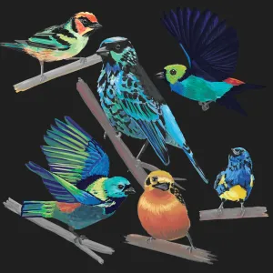 a collection of colorful tanager paintings, with some flying and some sitting on branches