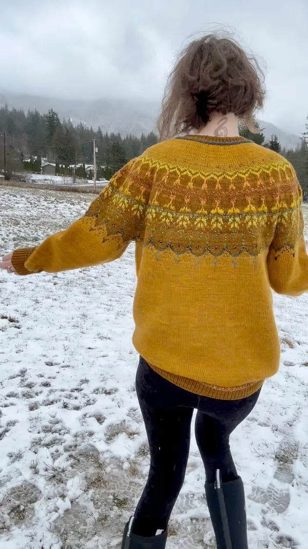 Back view of sweater, with icord detail at hem and cuffs