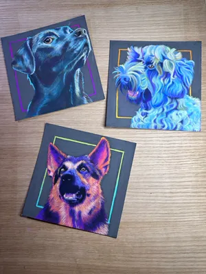 Three small square portraits of dogs rendered in technicolor