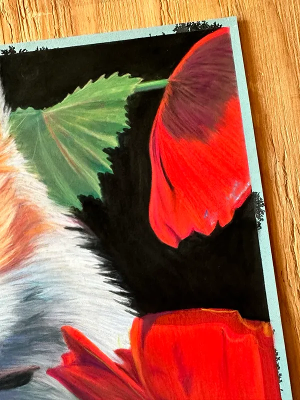 closeup of sagging poppy