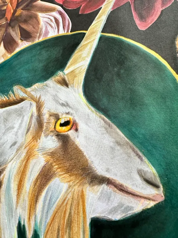 close up of goat ear