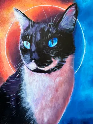 Tuxedo cat in front of stylzed red and blue eclipse