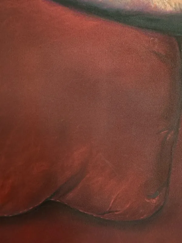 detail of couch cushion