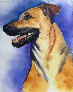 Maggie, a tan dog with small ears and a black muzzle