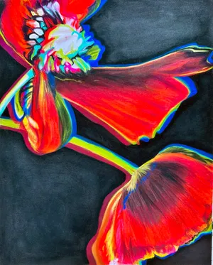 poppies rendered with chromatic aberration effect