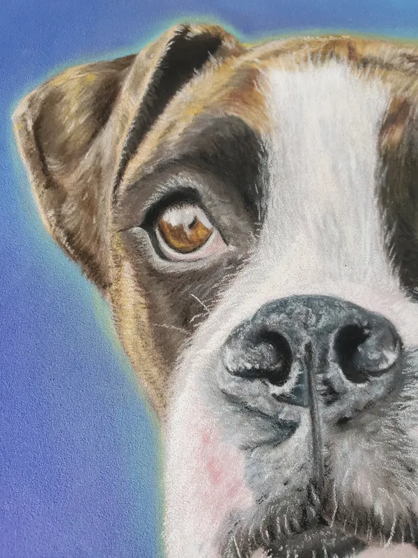 detail of Stella's face